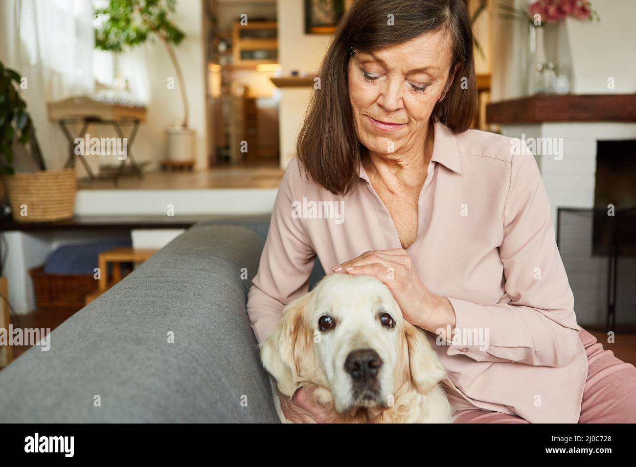 La vieille femme a fait un chien de compagnie à la maison sur le canapé pour la compagnie et l'amour des animaux Banque D'Images