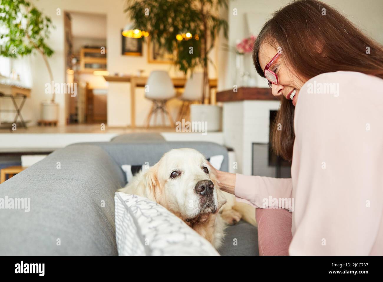 Une femme âgée qui a occupé son chien de retriever à la maison sur le canapé pour la compagnie et l'amitié Banque D'Images