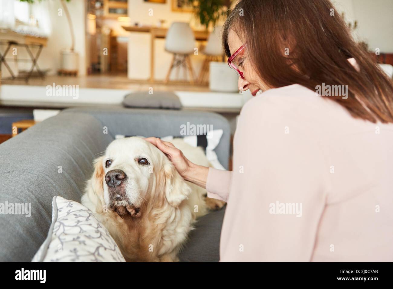 Une femme âgée a caressé son chien sur le canapé à la maison contre la solitude et pour la compagnie Banque D'Images