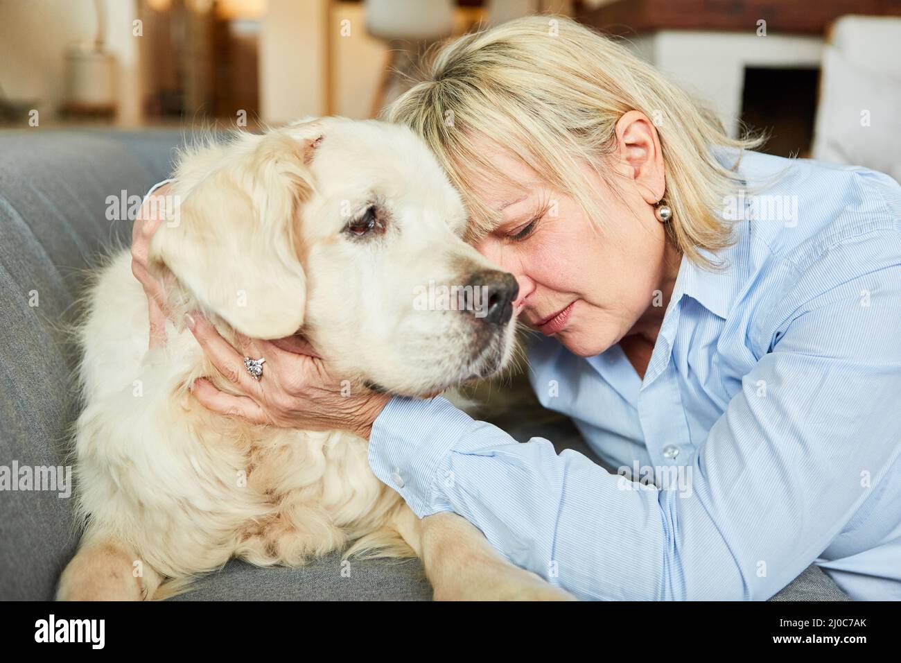 Vieille femme solitaire et triste avec un chien de retriever à la maison pour la compagnie et l'amitié Banque D'Images