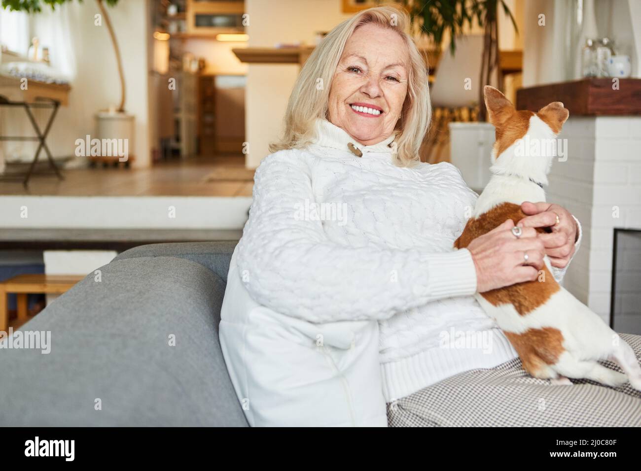Heureuse femme âgée en tant que pensionnée à la maison sur le canapé avec son petit chien sur ses genoux Banque D'Images