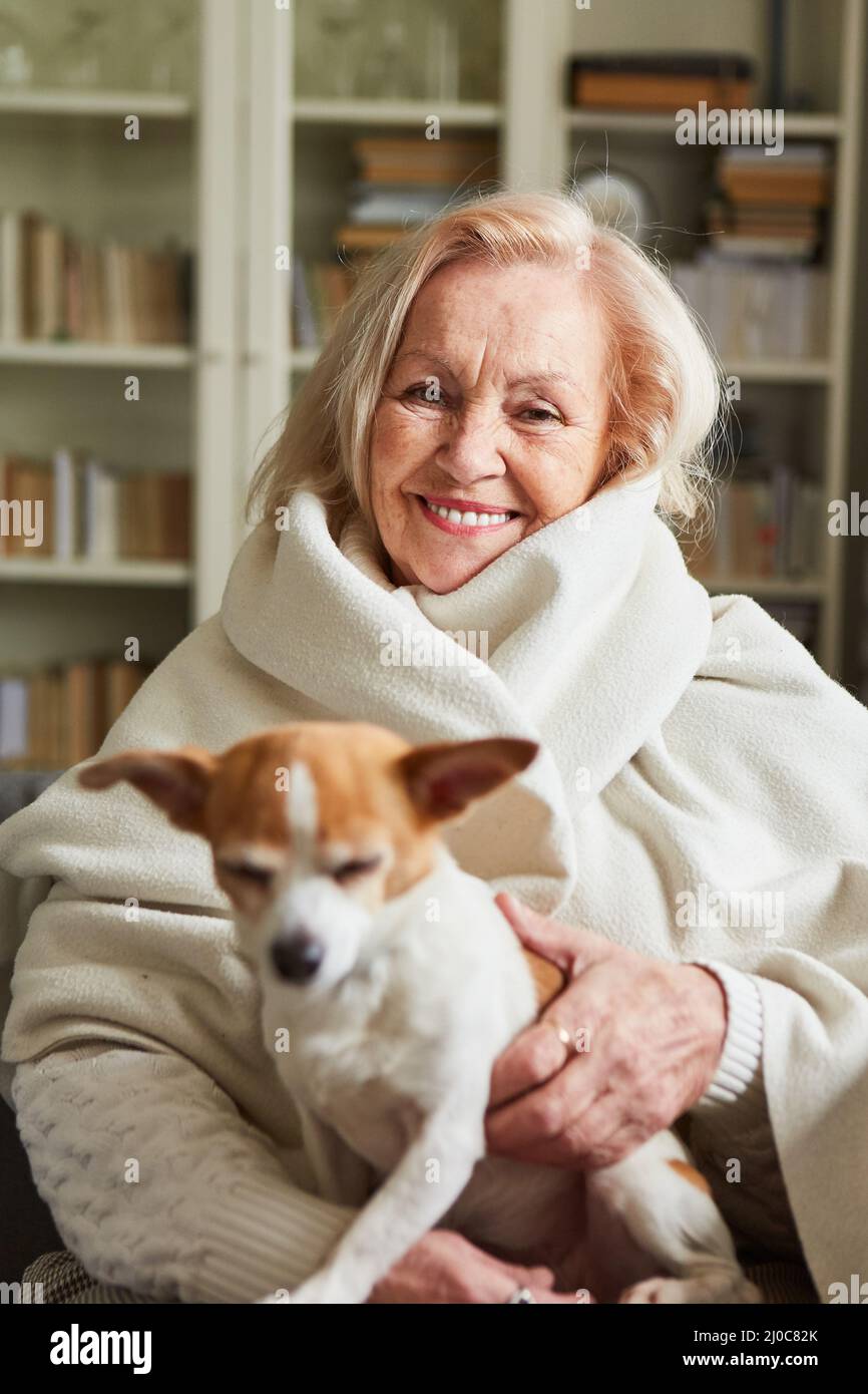 Bonne vieille femme avec foulard et petit chien sur ses genoux pour la compagnie et contre la solitude Banque D'Images