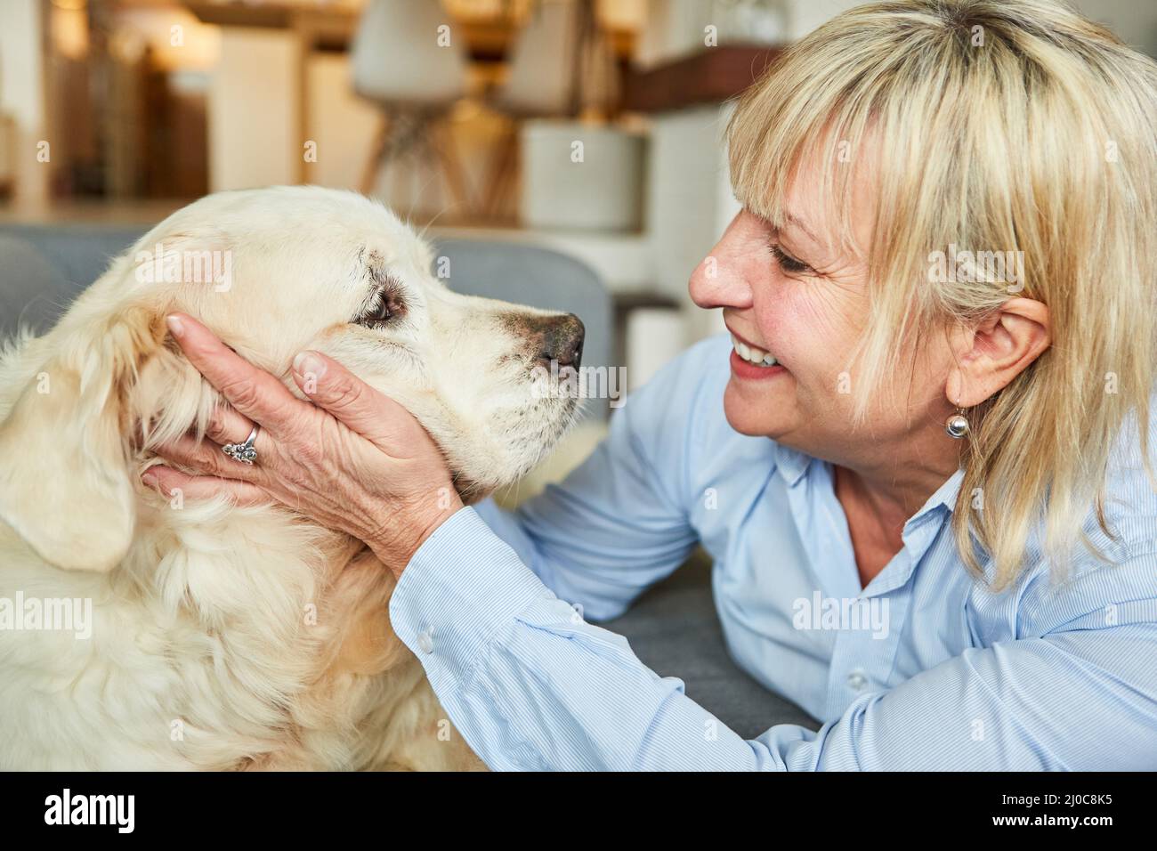 Une femme heureuse et âgée qui a fait le bonheur de son chien de retriever à la maison pour l'amitié et l'amour des animaux Banque D'Images