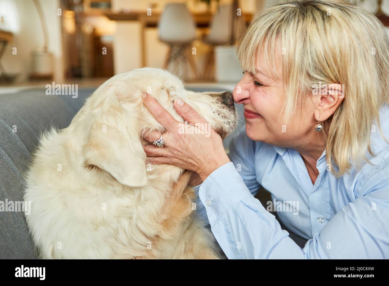 Bonne femme âgée et son chien de tête à nez à la maison pour l'amour des animaux et la compagnie Banque D'Images