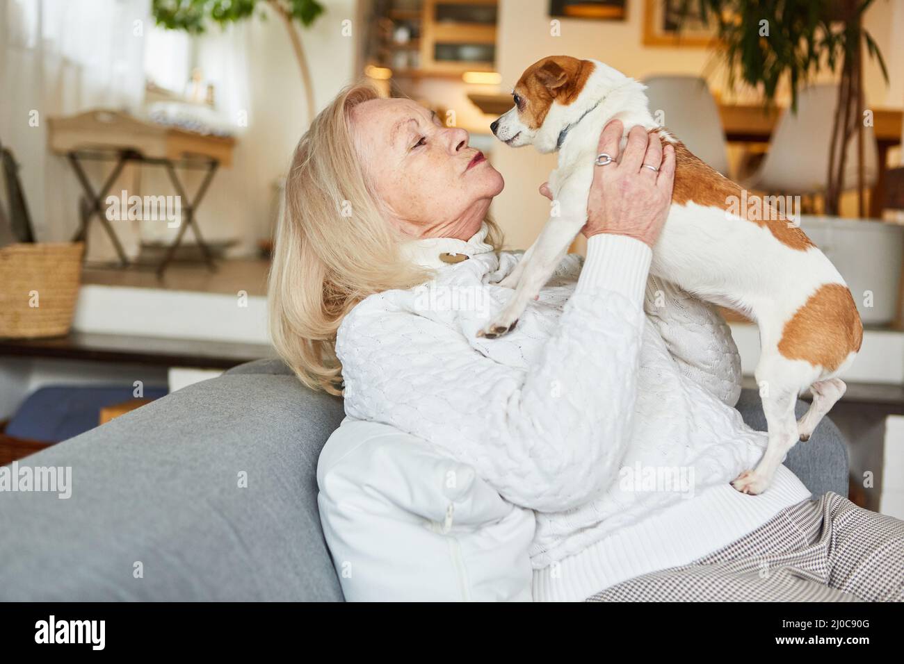 Femme âgée sur le canapé à la maison dans l'appartement avec un petit chien pour la compagnie et l'amitié Banque D'Images