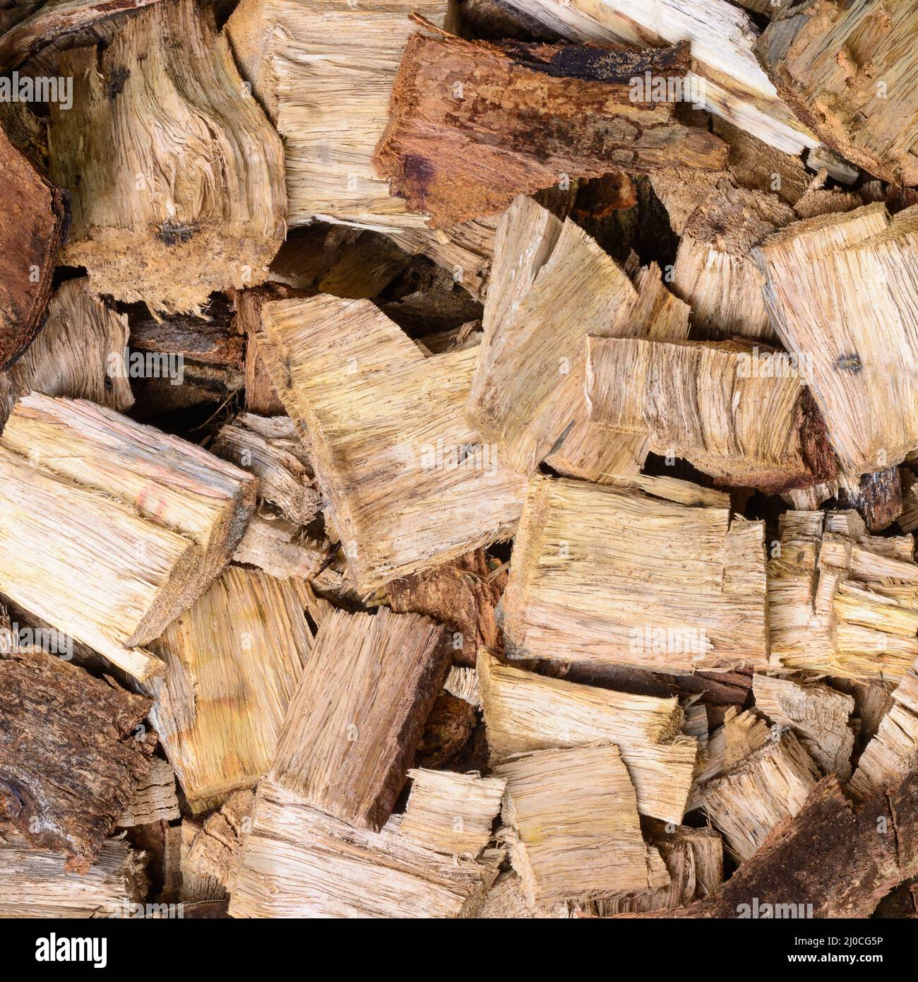 morceaux de bois de chauffage hachés, texture de fond, gros plan pris d'en haut Banque D'Images