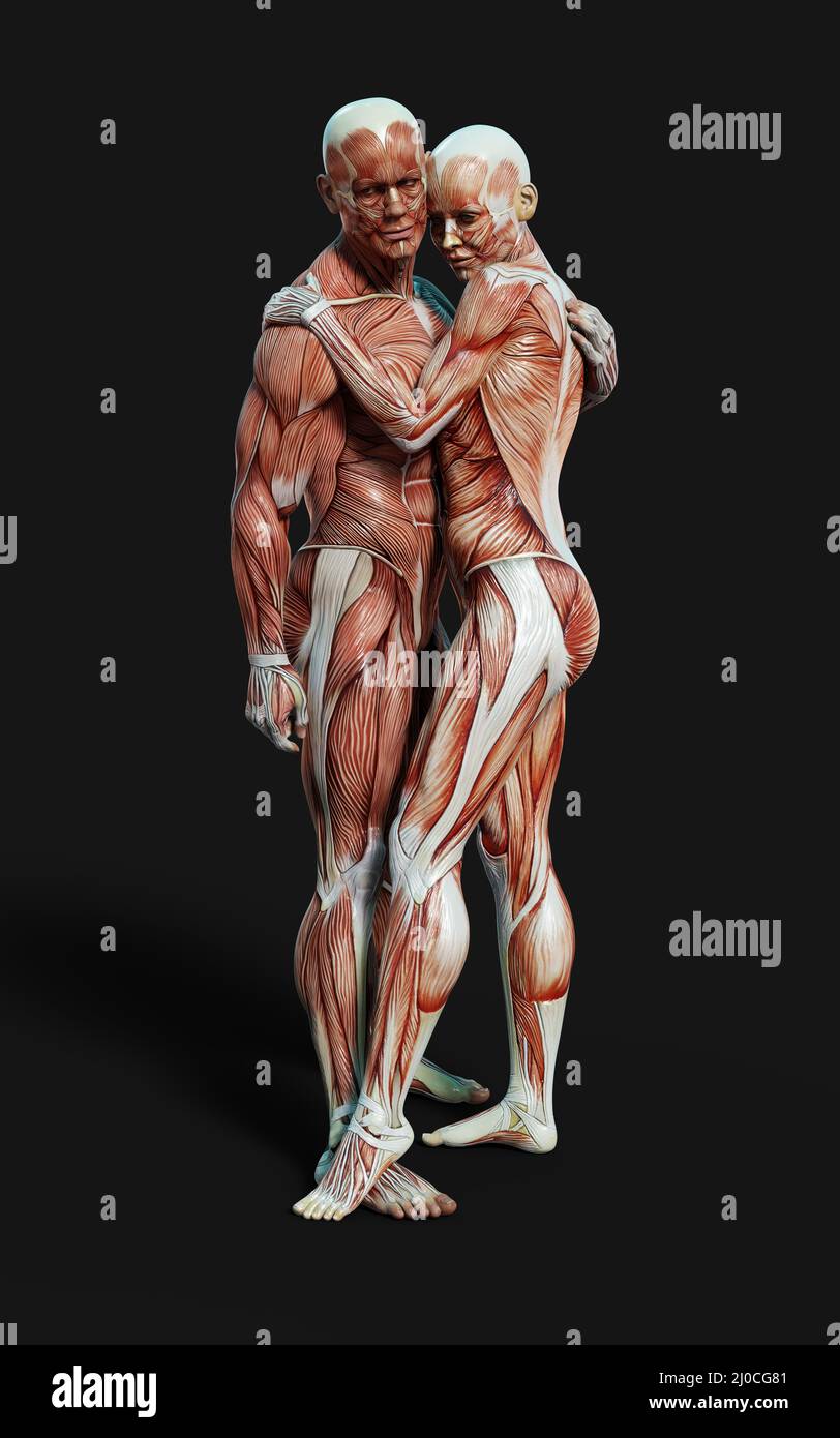 3D rendu des figures mâles et femelles pose avec la carte de la peau et des muscles sur fond sombre avec le chemin d'écrêtage.projet de concept de relation. Banque D'Images