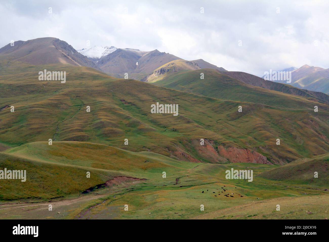 Paysage au col de Karakeche (3364 m) au lac Song Kul, Kirghizistan central Banque D'Images