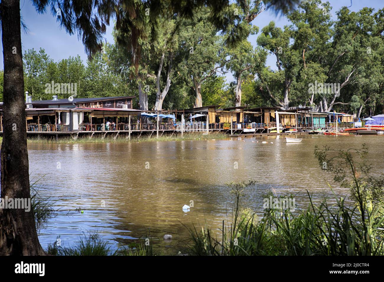 Tigre buenos aires Banque D'Images