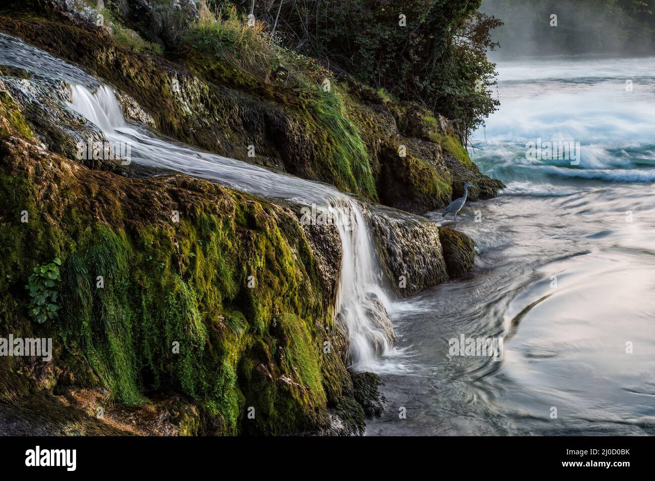 Chutes du Rhin - Schaffhausen. Banque D'Images