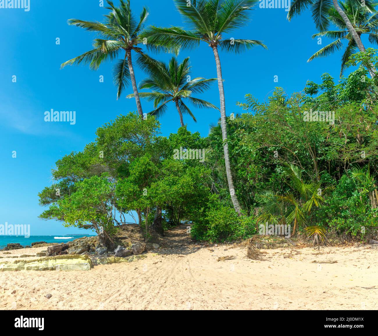 Promenade de sable à la plage de barra grande au Brésil Banque D'Images