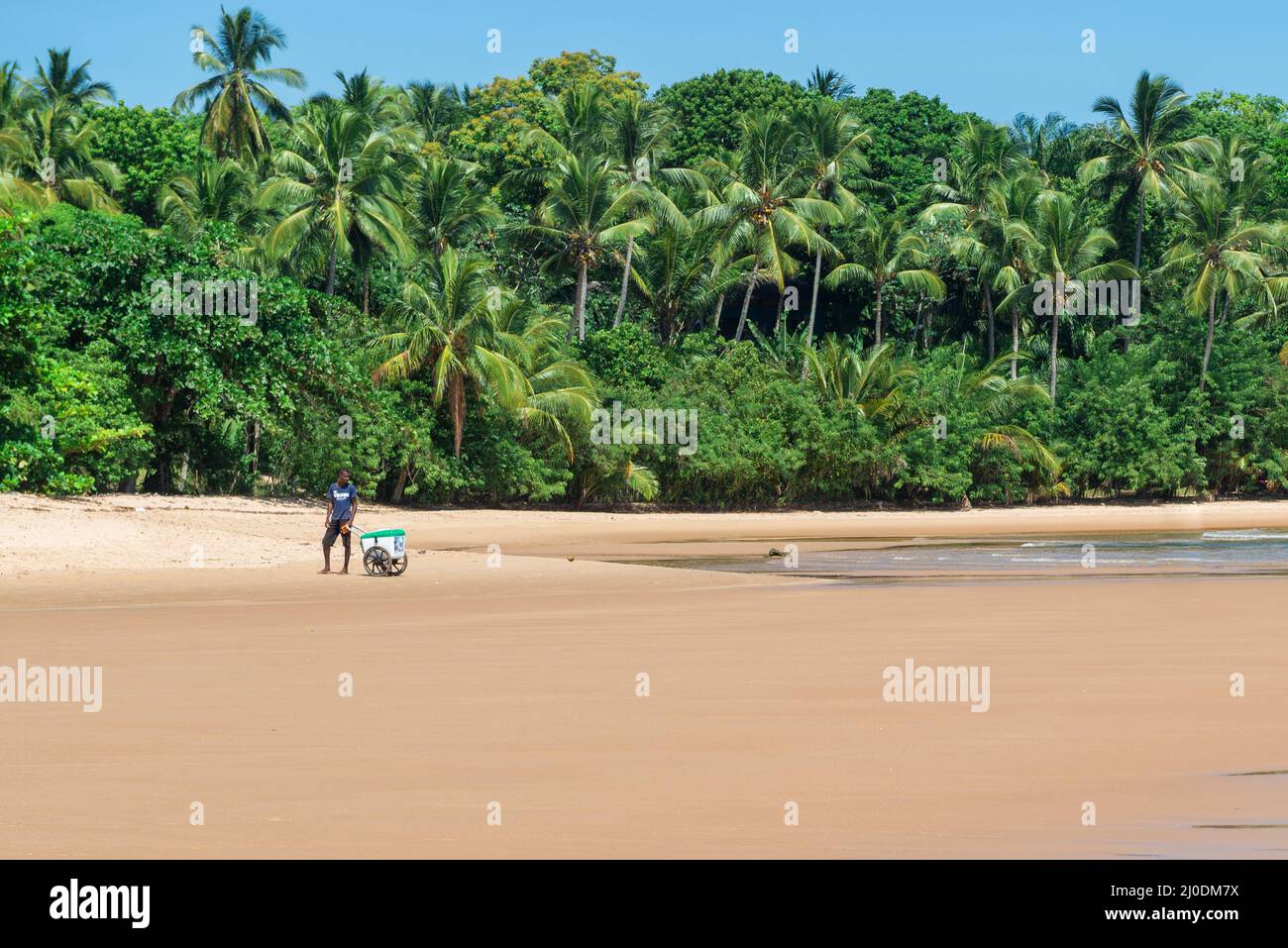 Iceman à la plage de barra grande au Brésil Banque D'Images