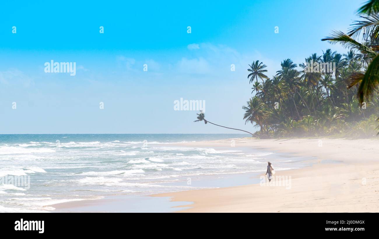 Les gens s'amusent et se prometent sur la plage Banque D'Images