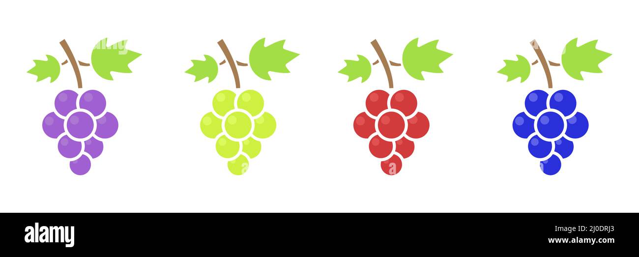 Ensemble de raisin différent. Jolies branches de raisin violet, vert, rouge et bleu Illustration de Vecteur