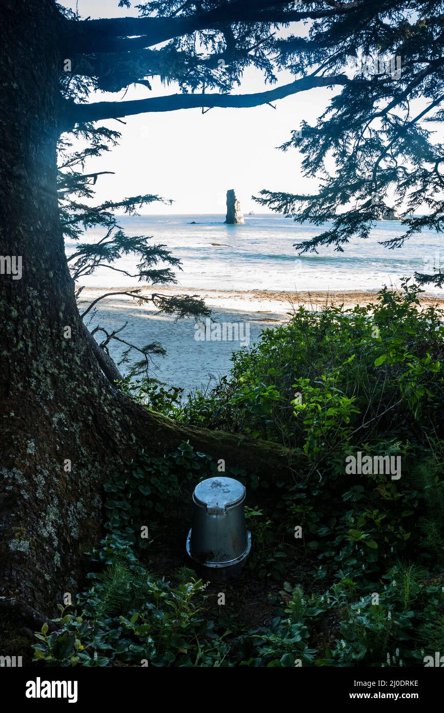 Toilettes avec vue, Toleak point, bande côtière du parc national olympique, Washington, États-Unis. Banque D'Images