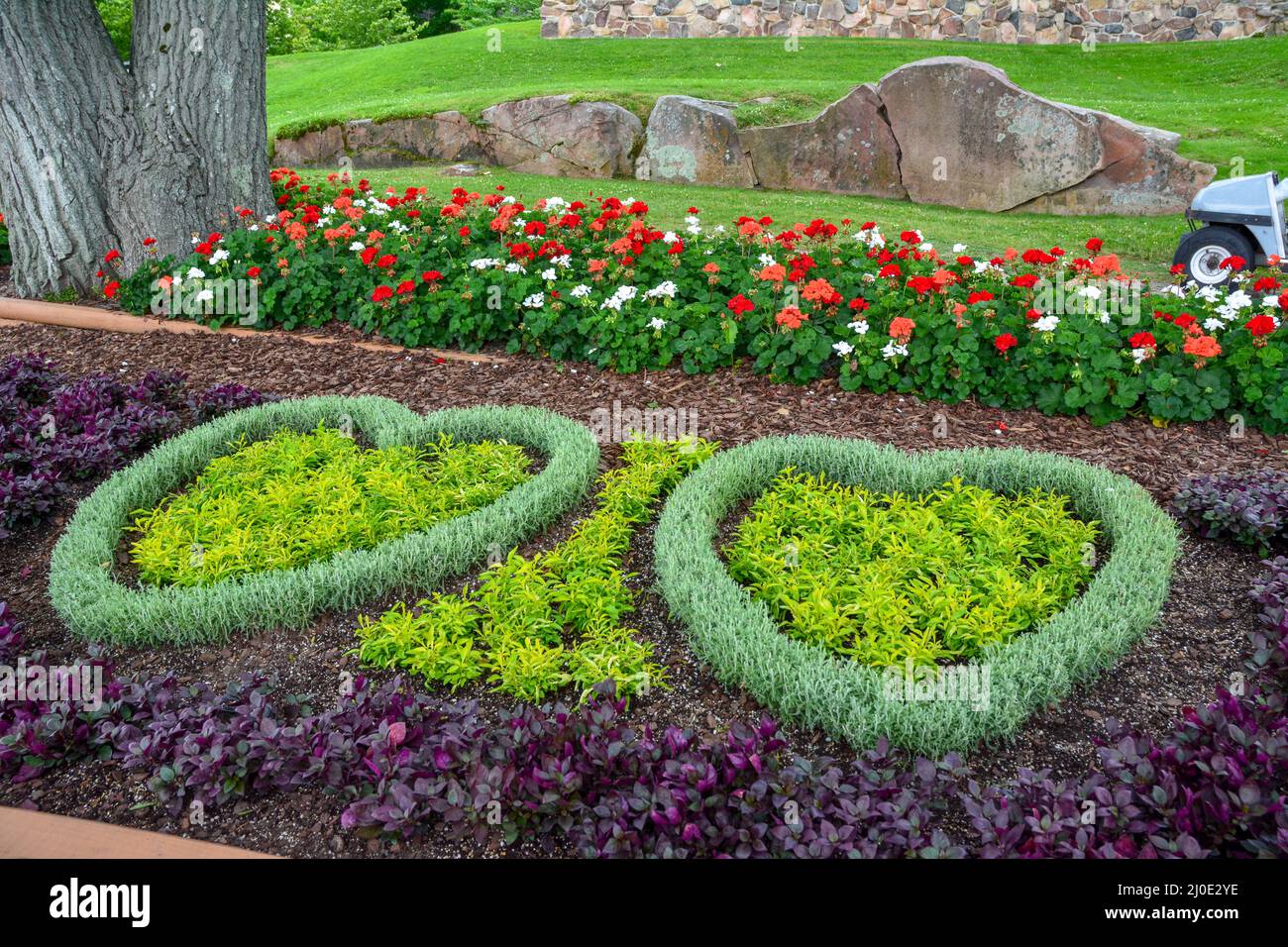 Fleurs colorées dans une variété de formes et de tailles Banque D'Images