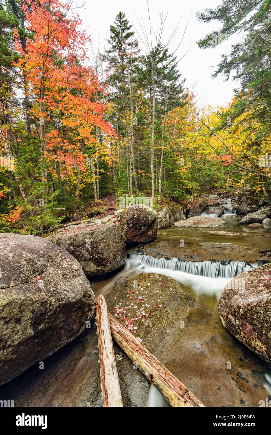 Ruisseau Phelps en automne, le long de la piste Van Hoevenberg, Adirondack Park, comté d'Essex, New York Banque D'Images