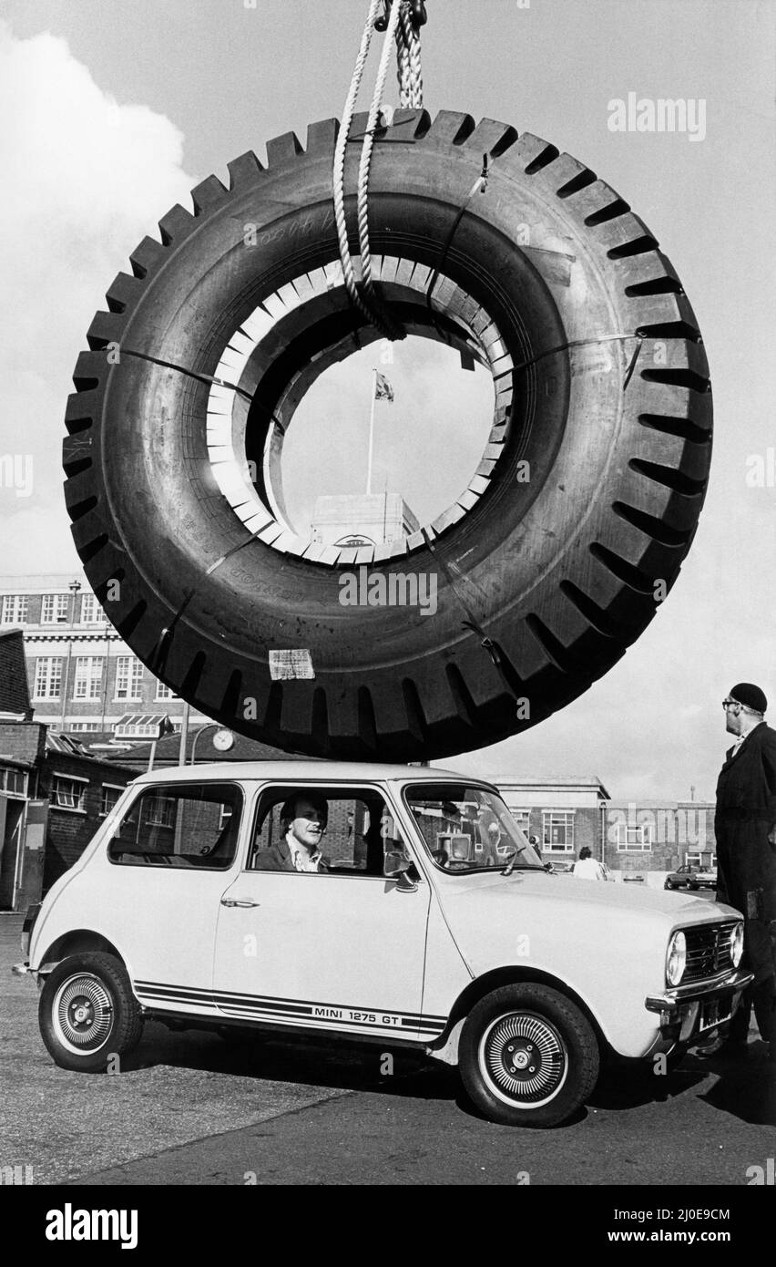 Le plus grand pneu jamais fabriqué à ce jour (27th octobre 1978) par Dunlop, vu ici à son arrivée au centre d'essais de fort Dunlop à Birmingham. Il pèse 2 et 1/4 tonnes, tout comme un Rolls-Royce Silver Shadow, peut supporter une charge de 40 tonnes et coûte 6000 £. Le Mini 1275 GT utilise le plus petit pneu de route de Dunlop et le pneu Monster contient suffisamment de caoutchouc de la bande de roulement pour les mini pneus 400. 27th octobre 1978 Banque D'Images