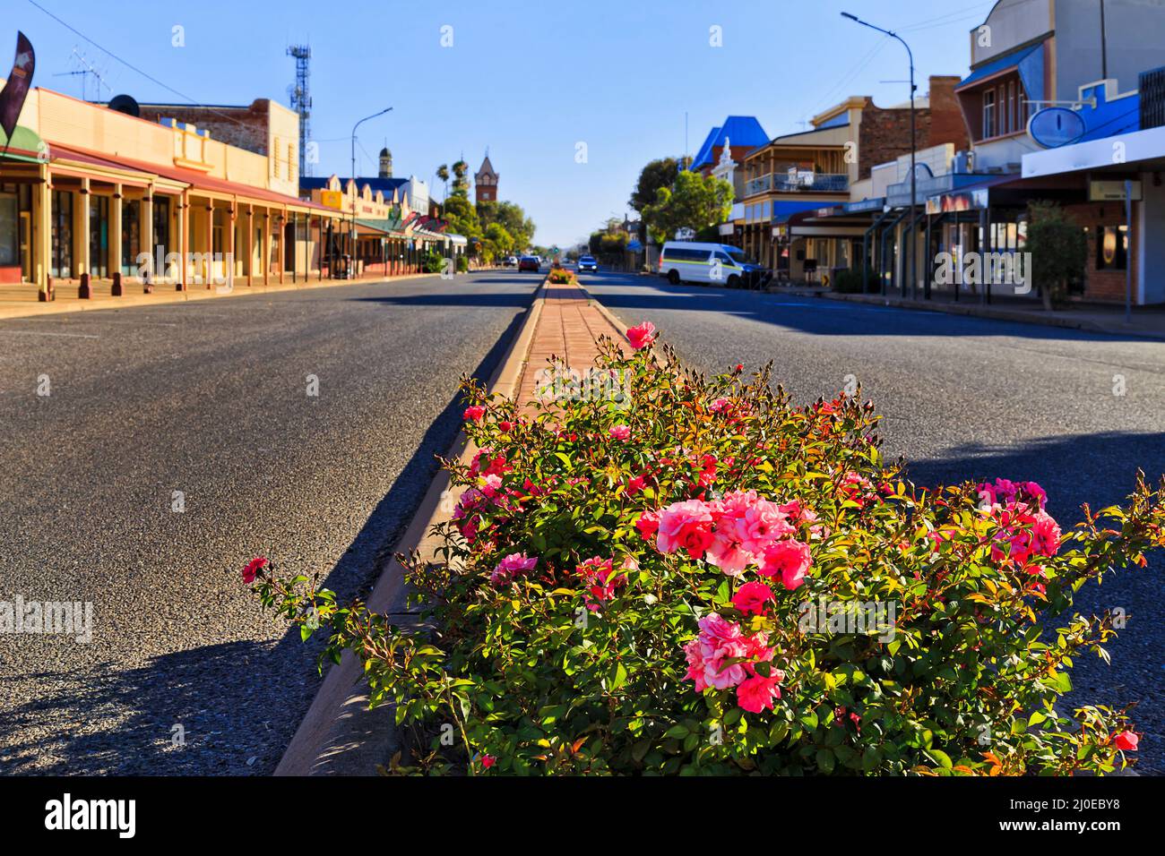 Vide, rue argent divisée avec fleurs de rose dans la ville de Broken Hill Silver, ville minière australienne de l'outback. Banque D'Images