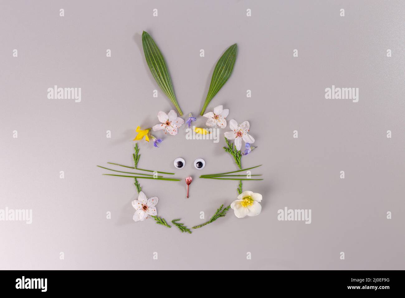 Bricolage printemps nature artisanat pour les enfants, composition de fleurs de lapin de Pâques sur fond gris, activité pour les enfants Banque D'Images