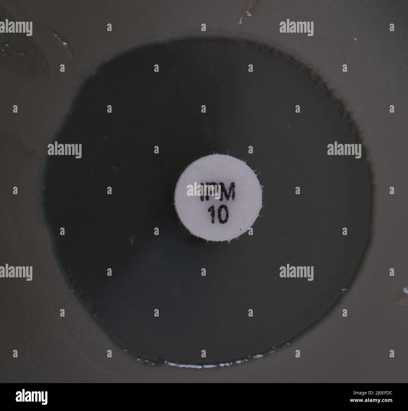 gros plan photo de la zone d'inhibition de la croissance bactérienne autour du disque antibiotique Banque D'Images