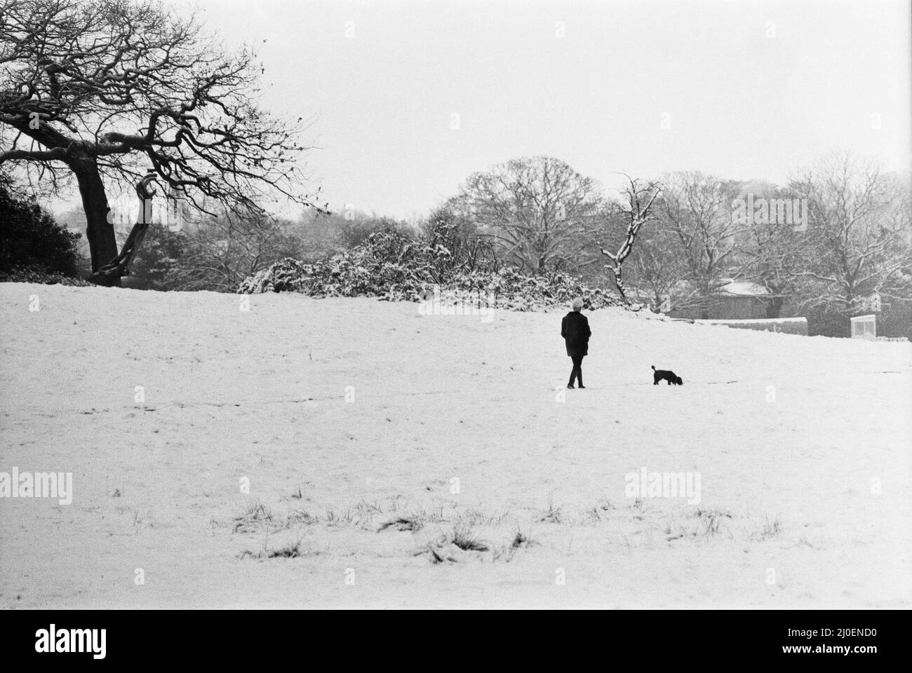 Le temps violent a frappé Birmingham, West Midlands, on Bank Holliday lundi 2nd mai 1979.(photo) femme marchant son chien dans des conditions de neige. Banque D'Images
