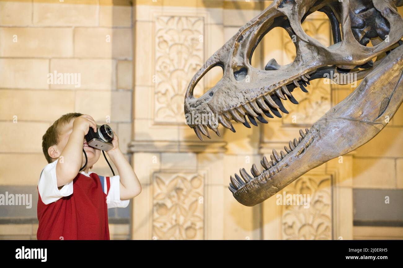 Un jeune garçon caucasien photographiant un dinosaure de Tyrannosaurus rex avec un vieil appareil photo dans un musée Banque D'Images