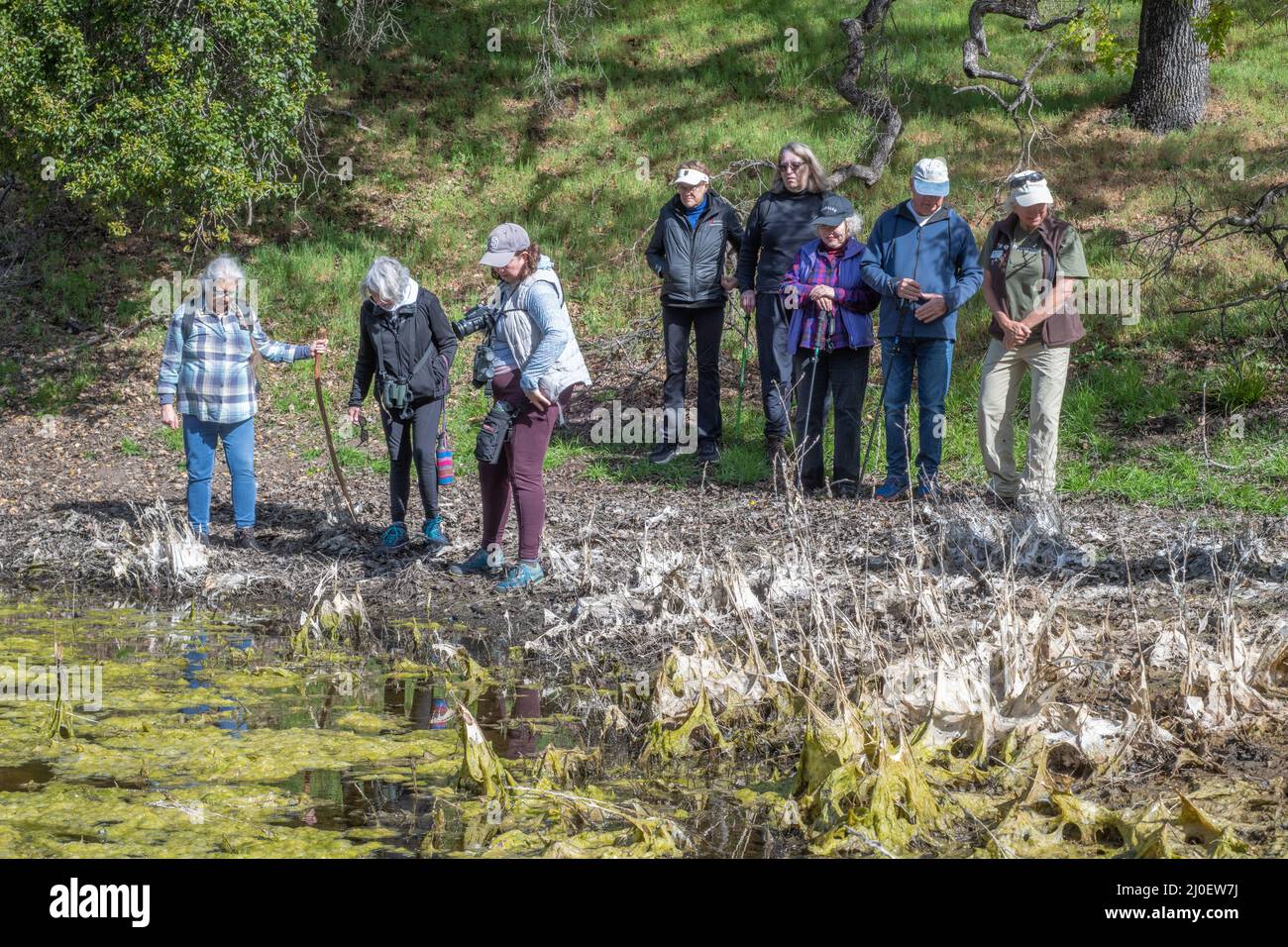 Un groupe de randonneurs regardent le bord d'un étang et en apprennent plus sur le plein air et la nature dans le nord de la Californie, États-Unis. Banque D'Images