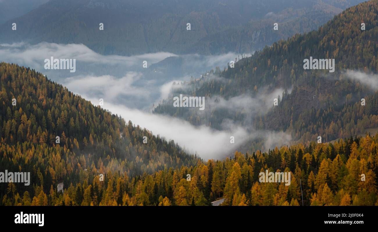 Paysage forestier d'automne dans les dolomites du sud du tyrol dans les apls italiens Banque D'Images
