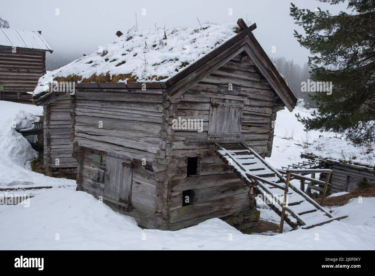 Le musée Vest-Telemark expose d'anciennes fermes de Telemark en Norvège. Banque D'Images
