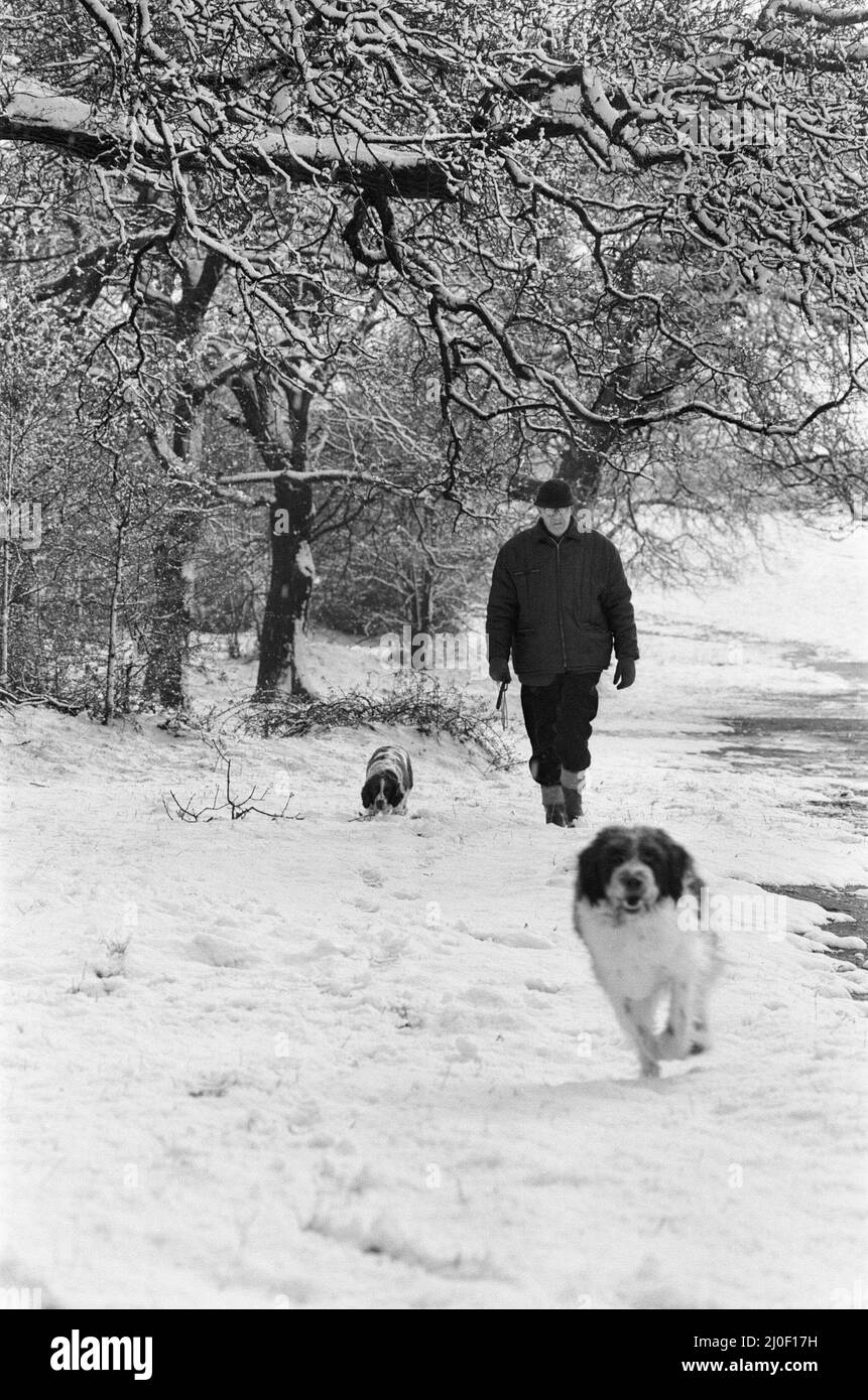 Un temps violent a frappé Birmingham, West Midlands, on Bank Holliday lundi 2nd mai 1979.(photo) Homme marchant son chien dans des conditions enneigées. Banque D'Images