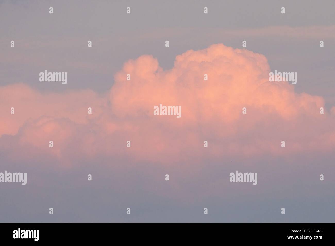 nuages rose or vif dans un ciel bleu clair Banque D'Images