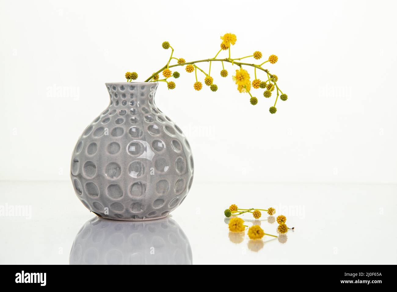 De belles fleurs jaunes sur un vase blanc. Photographie de haute qualité Banque D'Images