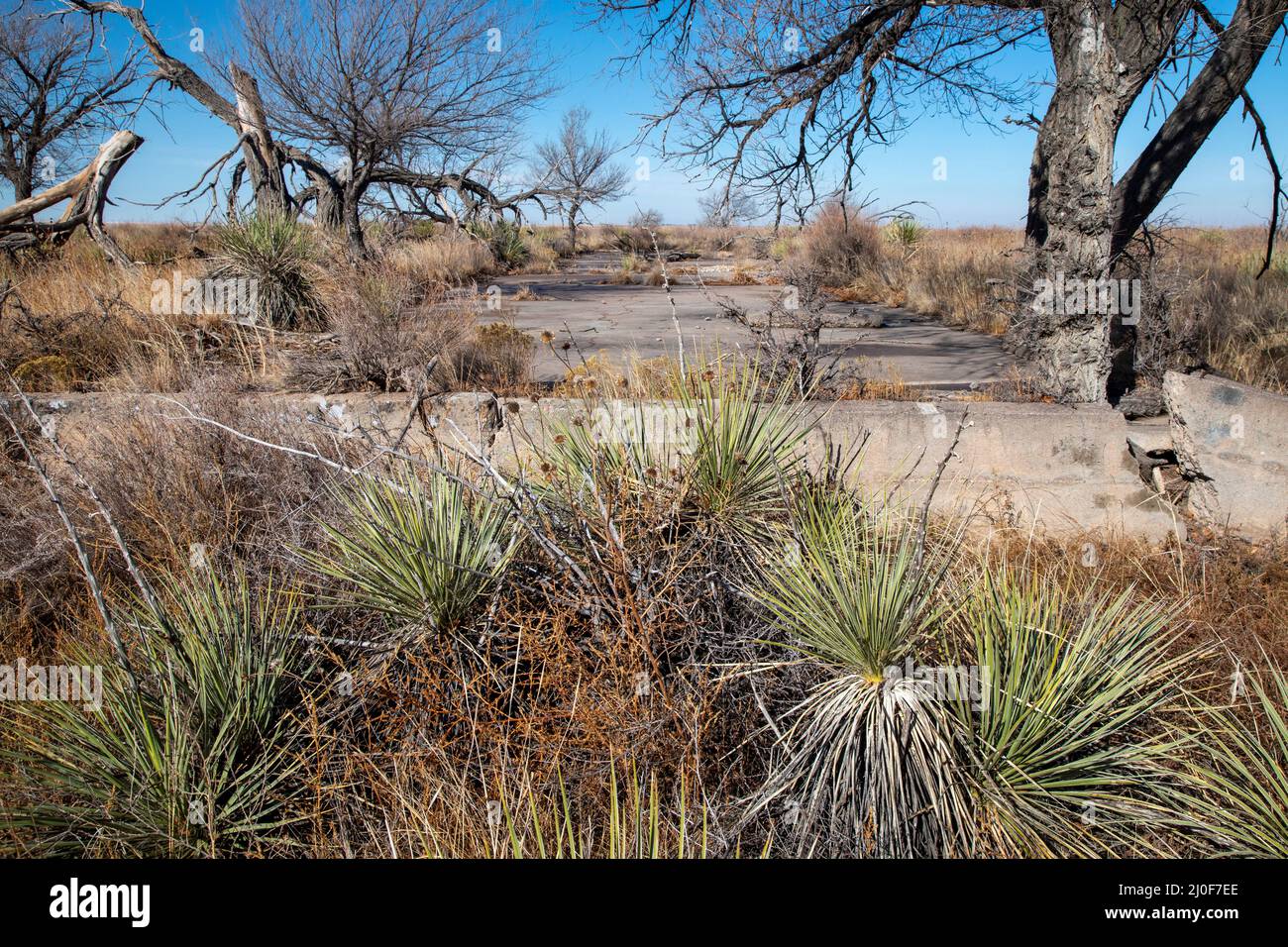 Grenade, Colorado, États-Unis. 18th mars 2022. Le camp d'internement japonais Amache de la Seconde Guerre mondiale dans le sud-est du Colorado est devenu partie du National Park Service, lorsque le président Joe Biden a signé une loi faisant d'Amache un lieu historique national. Plus de 7 000 Japonais et Japonais-Américains ont eu lieu sur le site, l'un des 10 camps d'internement de l'Ouest américain. Bien que tous les bâtiments aient été démolis après la guerre, de nombreuses fondations subsistent. Crédit : Jim West/Alay Live News Banque D'Images