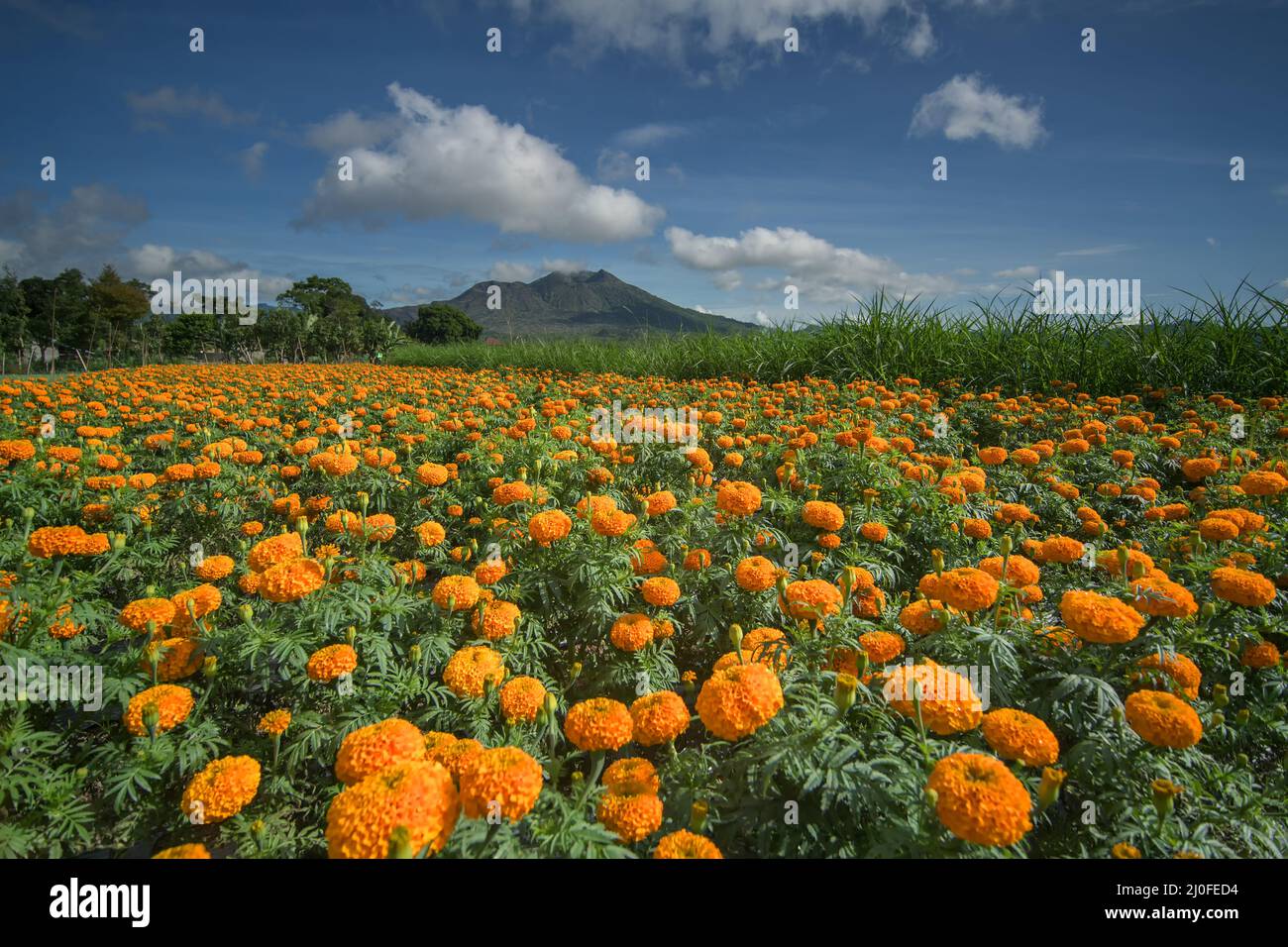Belle vue sur la vallée de pinggan Banque D'Images