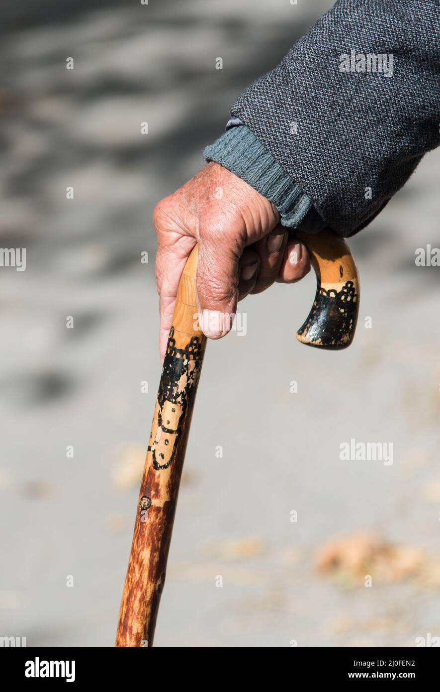 Homme âgé tenant un bâton de marche en bois Banque D'Images
