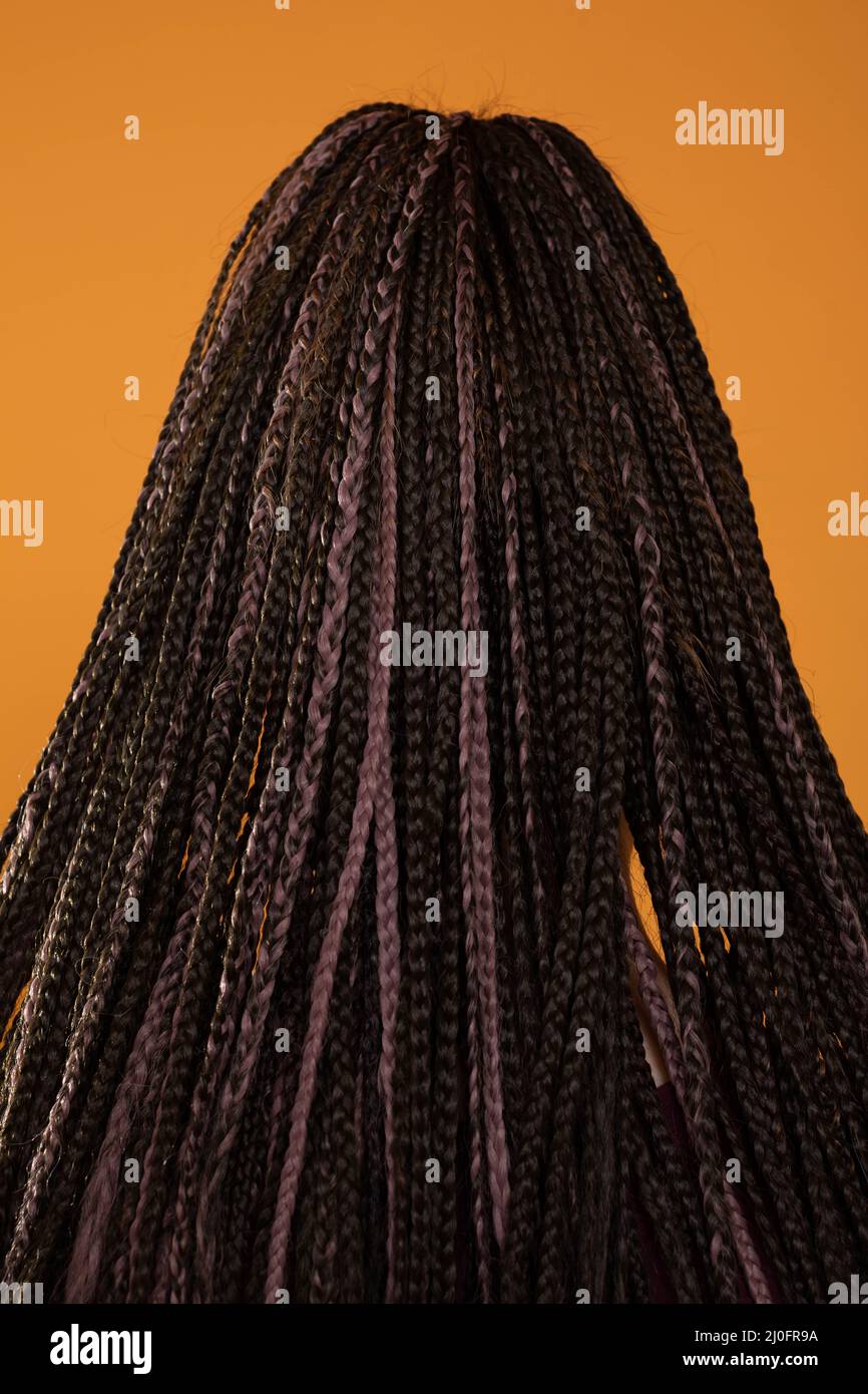 Les cheveux des femmes attachés dans beaucoup de tresses minuscules qui créent une coiffure intéressante. Banque D'Images Les cheveux des femmes attachés dans beaucoup de tresses minuscules qui créent une coiffure intéressante. Banque D'Images