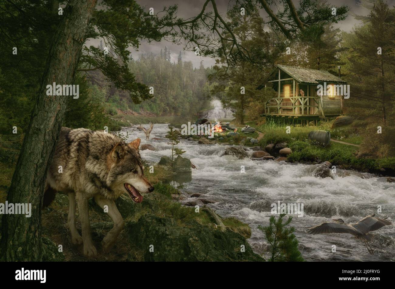 Cabane forestière Banque D'Images
