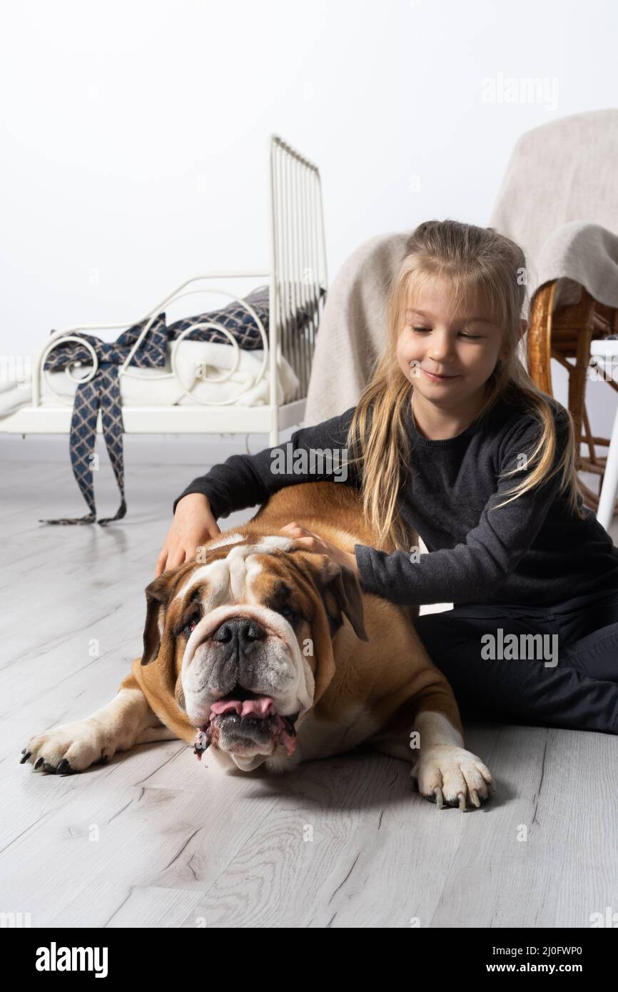 La fille est assise sur le sol à côté de la ceinture du Bulldog anglais et la suit doucement avec sa main. Homme et chien. Banque D'Images