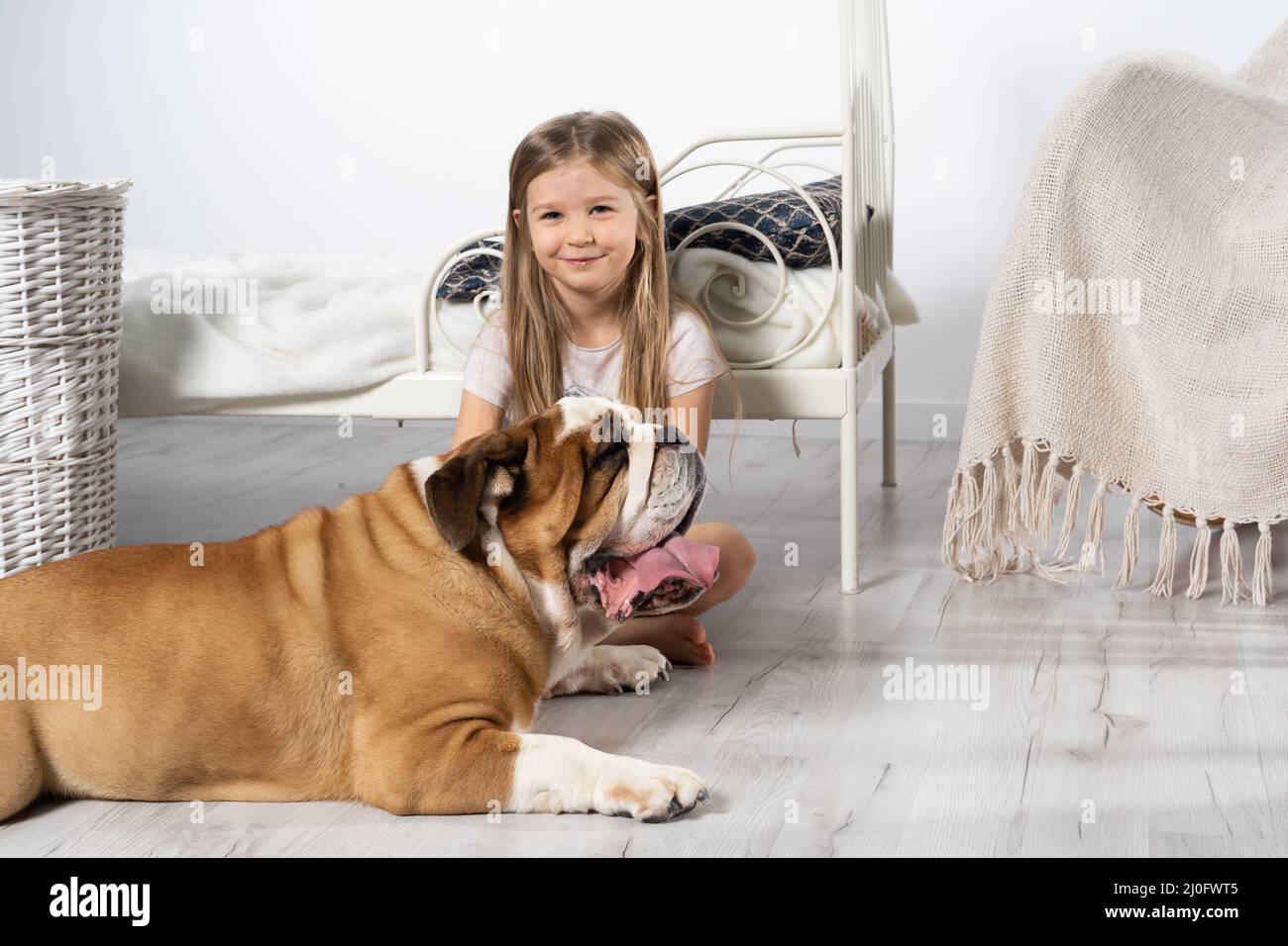 Une jeune fille dans une chambre, assise sur le sol avec son chien et le caressant. Enfant et chien. Le Bulldog anglais est un pur revin Banque D'Images