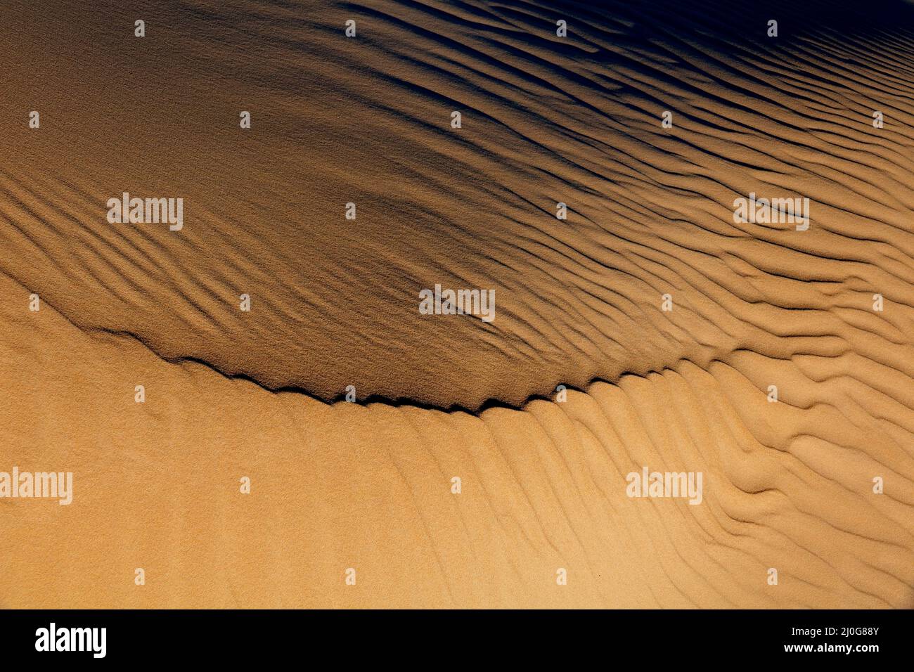 Motifs et textures sur une dune de sable du désert créée par le vent, Afrique du Sud Banque D'Images