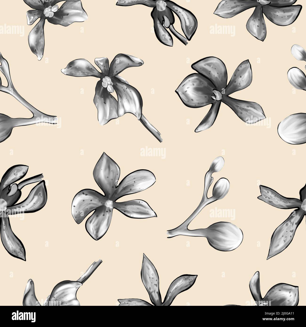 Motif fleuri d'orchidée botanique Banque D'Images