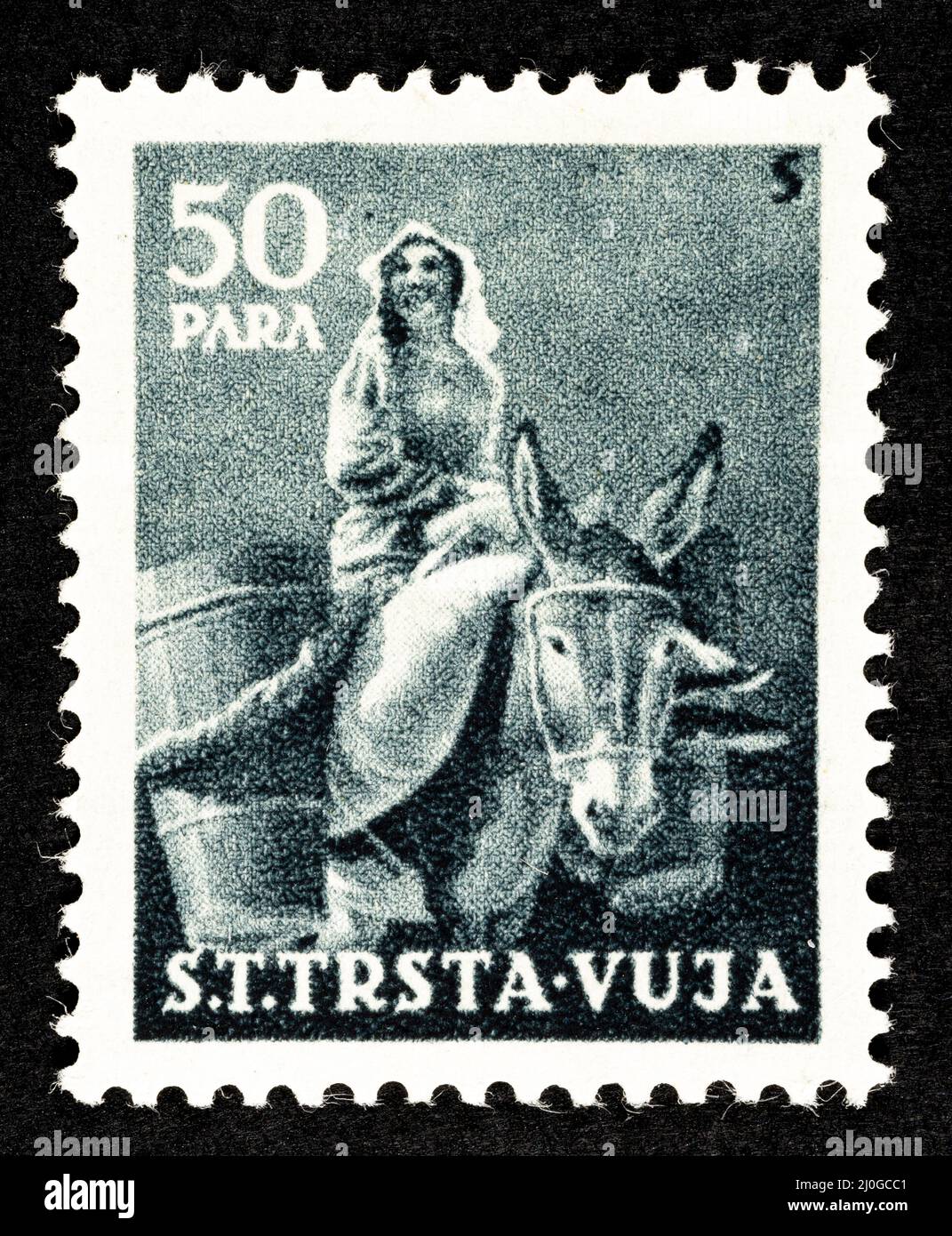 Timbre-poste commémoratif de l'ex-Yougoslavie, surimprimé STT VUJNA, avec illustration de l'âne du territoire libre de Trieste, zone Banque D'Images