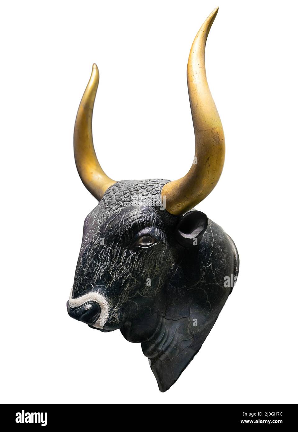 Chef de la taureau Minoan - un animal sacré de l'ancien peuple crétois Banque D'Images