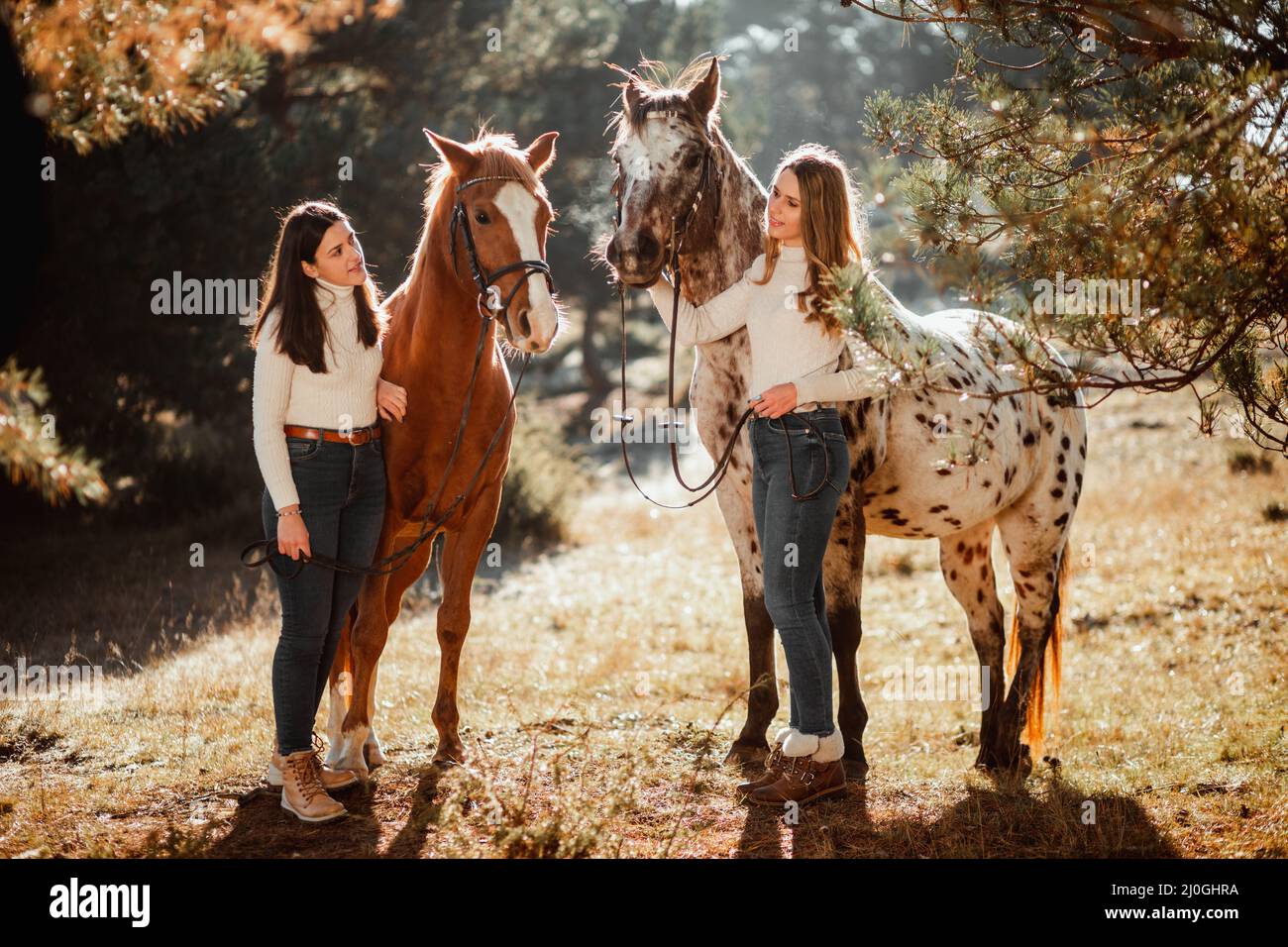 Belle jeune fille posant avec son cheval dans la nature. Jour d'automne ensoleillé. Banque D'Images