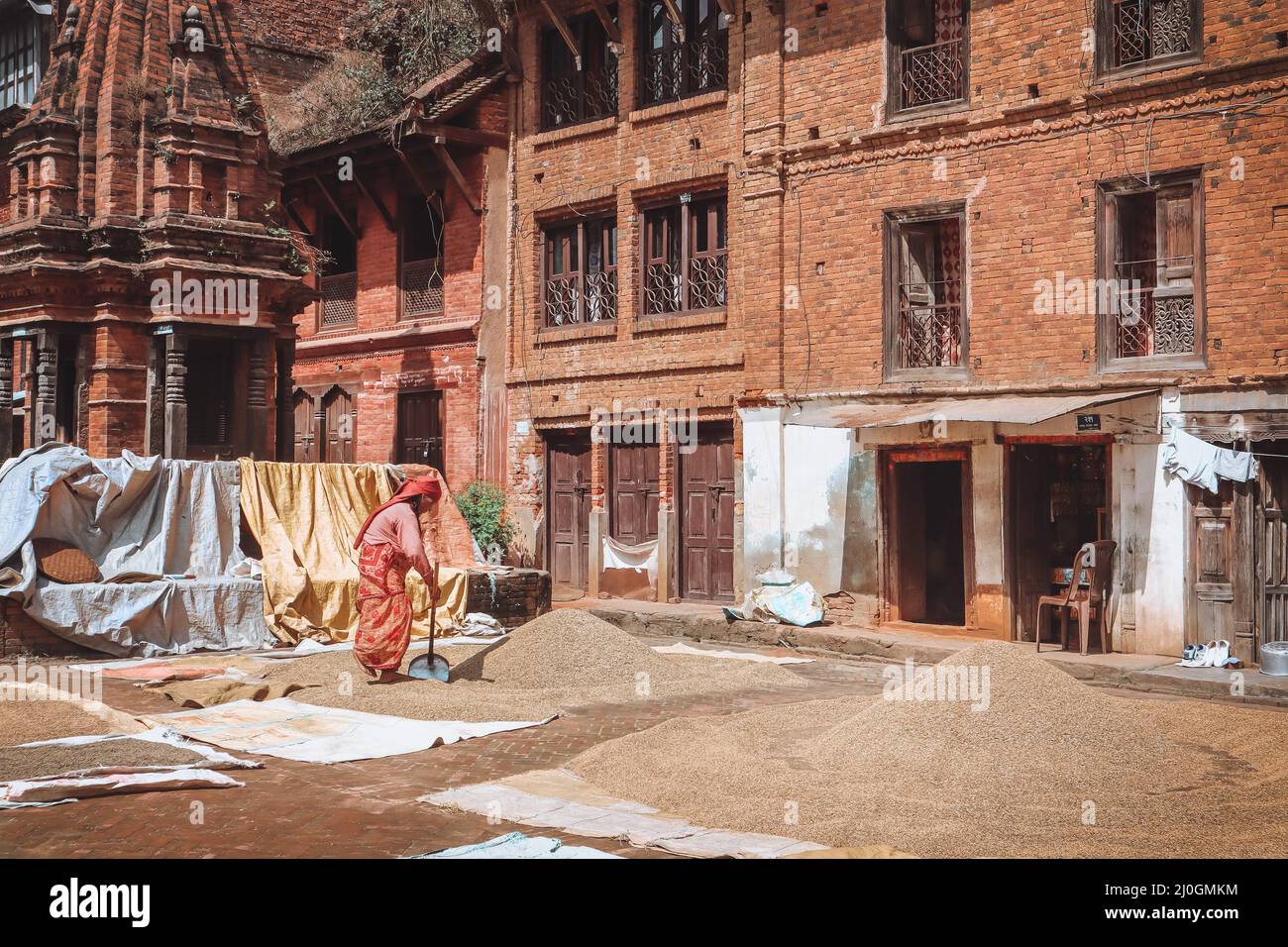 Le séchage du riz et du blé à Panauti, Népal - un vieux village de newari en dehors de la vallée de Katmandou Banque D'Images