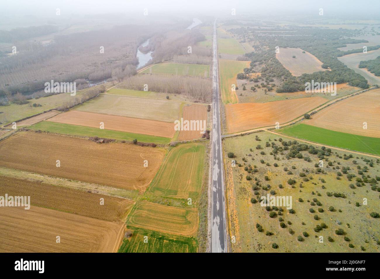 Vue aérienne des terres agricoles et des rangées de cultures. Pris des airs, regardant sur un terrain vert en été Banque D'Images