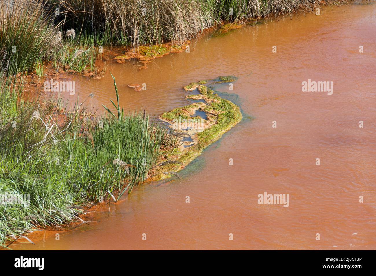 Une rivière est polluée par les eaux usées Banque D'Images