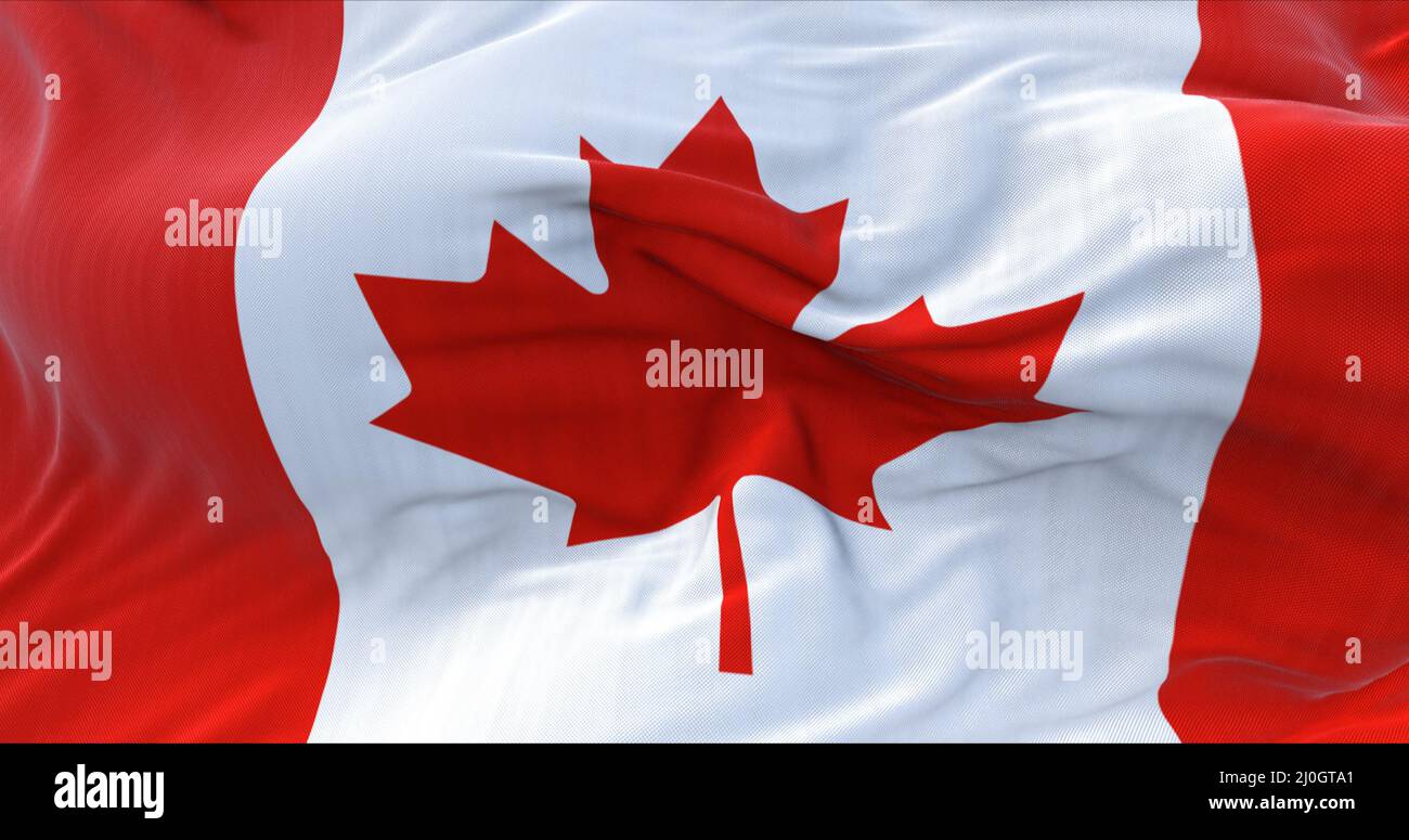 Détail du drapeau national du Canada qui agite dans le vent. Feuille d'érable rouge chargée au centre Banque D'Images