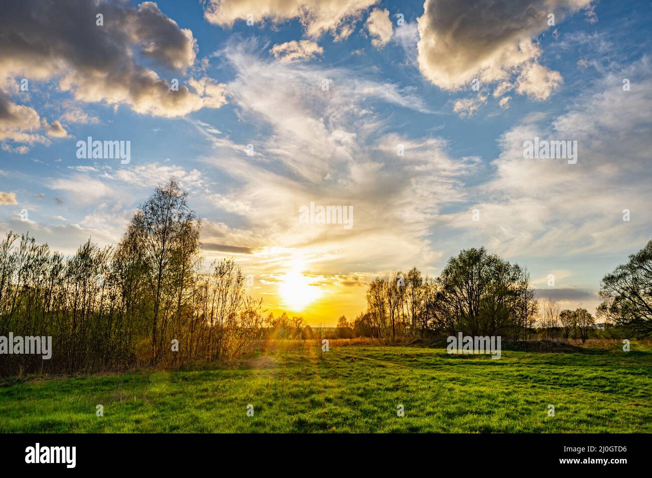 Rayon de soleil à travers l'arbre Banque D'Images